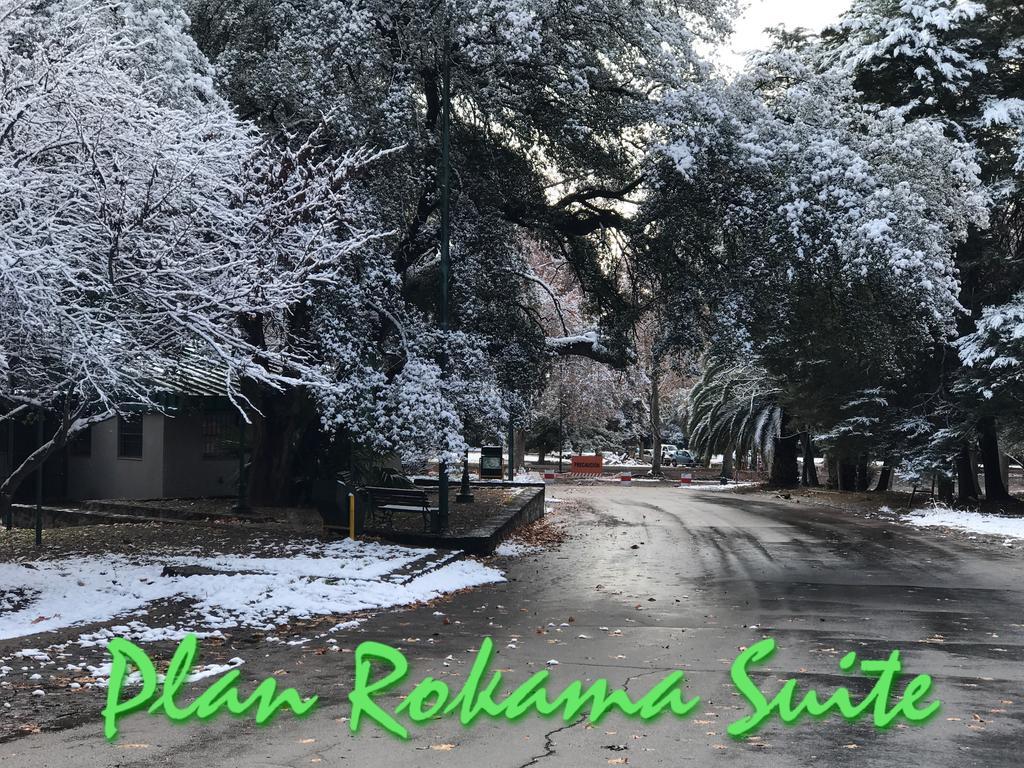 ميندوزا Plan Rokama Suite 586 المظهر الخارجي الصورة